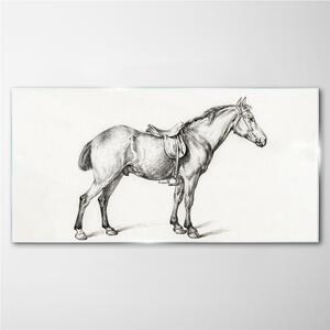 Tablou sticla Desenând cal de animale