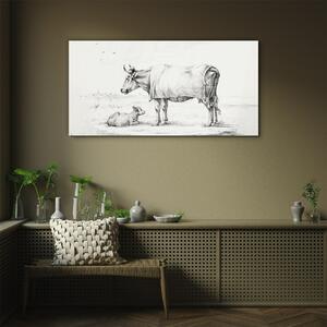 Tablou sticla Desenând vițel de vacă