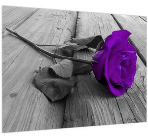 Tablou pe sticlă - Trandafir violet cu tulpina verde (70x50 cm)