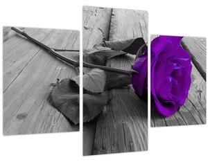 Tablou - Trandafir violet cu tulpina verde (90x60 cm)