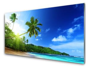Panou sticla bucatarie Sea Palm Beach Peisaj Copaci Maro Verde Albastru