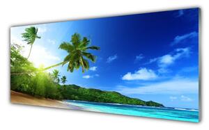 Panou sticla bucatarie Sea Palm Beach Peisaj Copaci Maro Verde Albastru