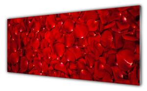 Tablou pe sticla Petale Floral Red
