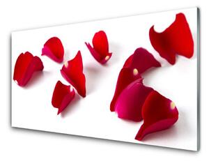 Panou sticla bucatarie Petale Floral Red
