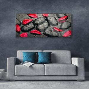 Tablou pe sticla Petale Stones Art Red Gray