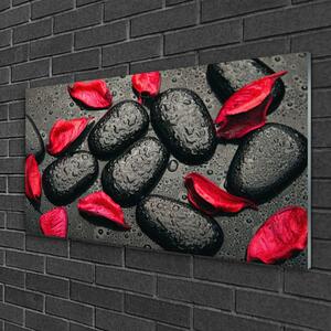 Tablouri acrilice Petale Stones Art Red Gray