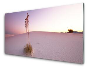 Tablou pe sticla Desert Peisaj Brown