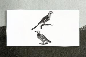 Tablou de sticla Desenând animale păsări