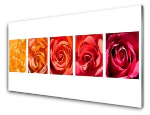Tablou pe sticla Trandafiri Floral Galben Portocaliu Roșu