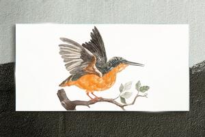 Tablou sticla Desenând ramura păsărilor de animale