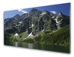 Tablou pe sticla Munții Lake Forest Peisaj Verde Gri