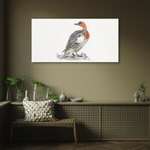 Tablou sticla Desenând rață de pasăre animală
