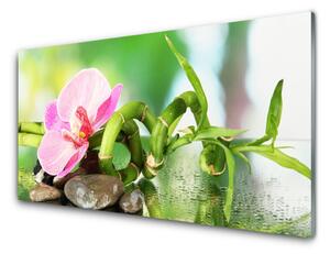 Panou sticla bucatarie Bamboo Peduncul flori Stones Natura Verde Roz Gri