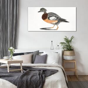 Tablou sticla Desenând pasărea animalelor