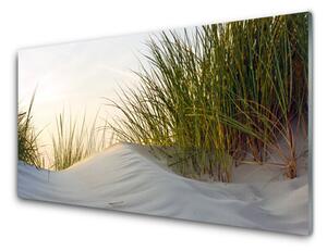 Tablou pe sticla Nisip Iarbă Peisaj Gri Verde
