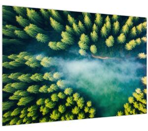 Tablou - O pădure învăluită în ceață (90x60 cm)