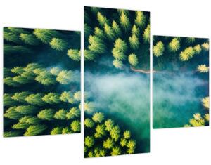 Tablou - O pădure învăluită în ceață (90x60 cm)