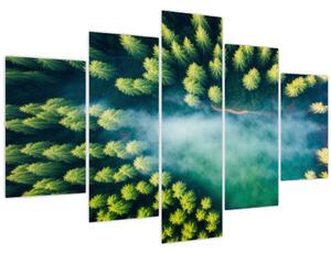 Tablou - O pădure învăluită în ceață (150x105 cm)