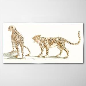 Tablou sticla Animale de pisici leoparde