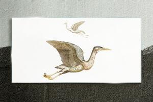Tablou sticla Desenând animale păsări