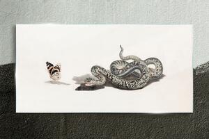 Tablou sticla Desenând furtun de fluturi de animale