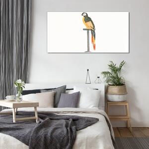 Tablou sticla Desenând papagal pentru păsări de animale