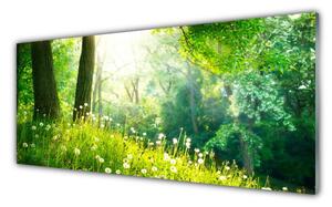 Panou sticla bucatarie Meadow Natura verde