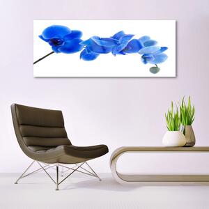 Tablou pe sticla Flower Floral Albastru