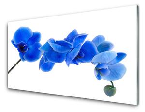 Panou sticla bucatarie Flower Floral Albastru