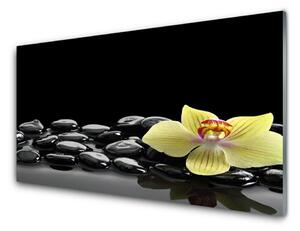 Tablouri acrilice Pietre de flori Bucătărie Galben Negru