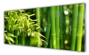 Panou sticla bucatarie Frunze de bambus verde florale