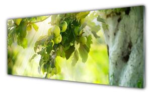 Tablou pe sticla Filiala de mere Bucatarie Verde Brun