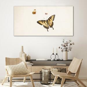 Tablou sticla Butterfly cu insecte moderne