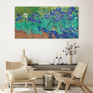 Tablou sticla Irise Van Gogh