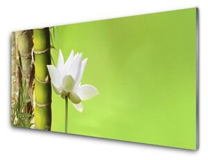 Panou sticla bucatarie Bamboo peduncul Floral Verde Alb