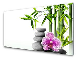 Tablou pe sticla Bambus Cane flori Stones Floral Verde Roz Gri