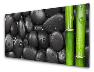 Tablou pe sticla Bamboo Stalk Stones Arta Verde Negru
