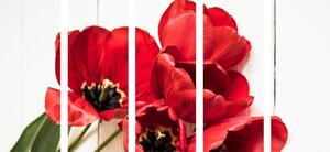 Tablou 5-piese lalele roșii în floare