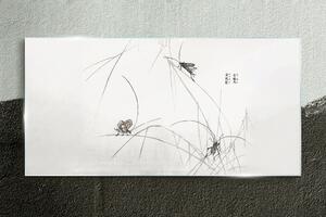 Tablou sticla Insecte moderne