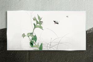 Tablou sticla Insectele asiatice pleacă
