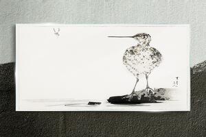 Tablou sticla Desenând pasărea animalelor