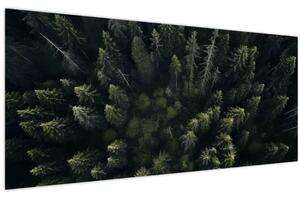 Tablou - Pădure (120x50 cm)