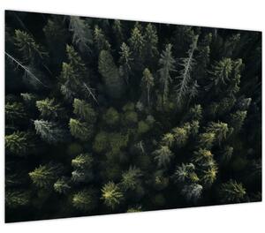 Tablou - Pădure (90x60 cm)