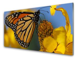 Tablou pe sticla Butterfly Flower Natura Negru Alb Galben