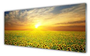 Panou sticla bucatarie Soare Meadow Floarea soarelui Natura Galben Maro Verde