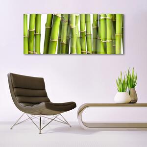 Tablou pe sticla Bamboo Canes Floral Verde