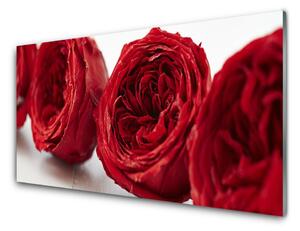 Panou sticla bucatarie Trandafiri Floral Red