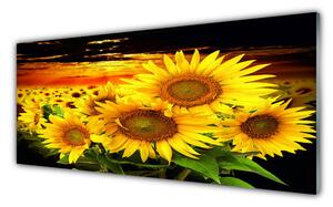 Tablou pe sticla Floarea soarelui Floral Galben Maro