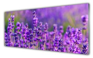 Panou sticla bucatarie Flori Floral violet