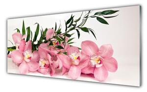 Tablou pe sticla Petale Floral Roz Verde
